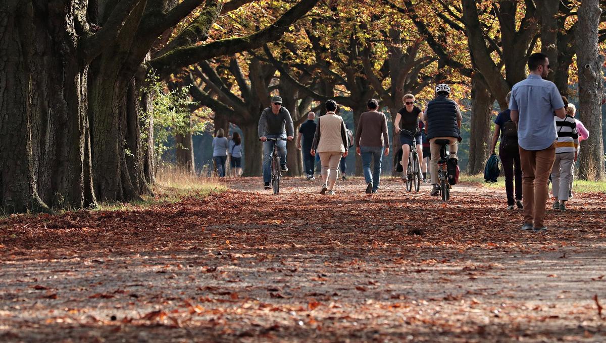 L'arbolado urbain, vital pour le bien-être, sur tout en vrai
