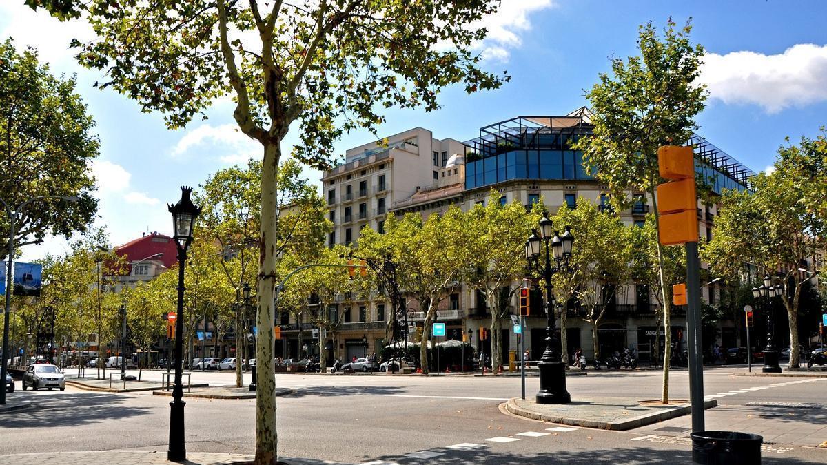 Arbolado en una calle de Barcelona