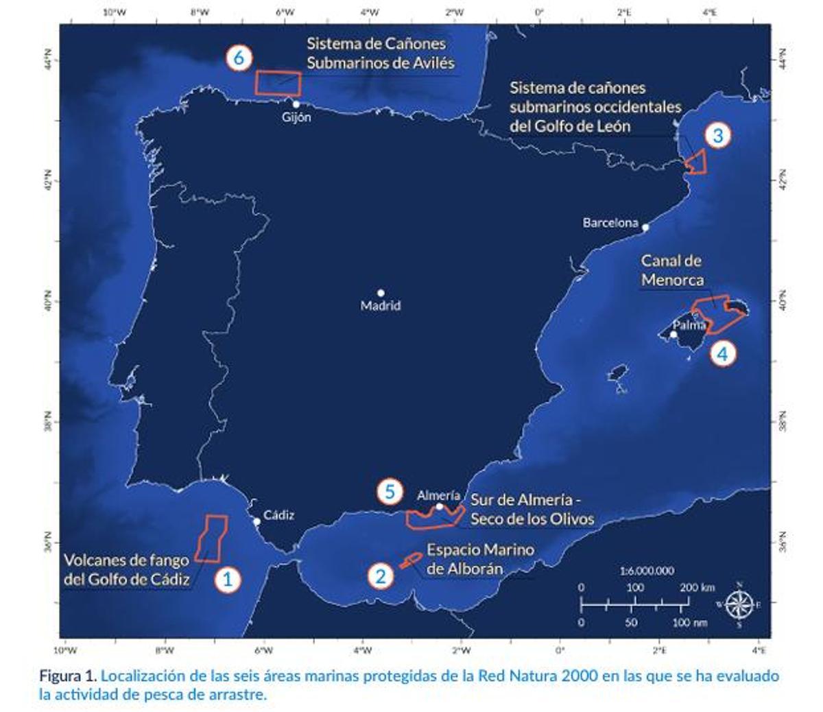 Les zones marines dans lesquelles ils compromettent l'action des arrastreros, doivent être teóricamente protégées