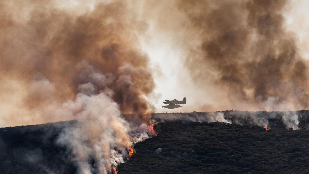 Incendios forestales