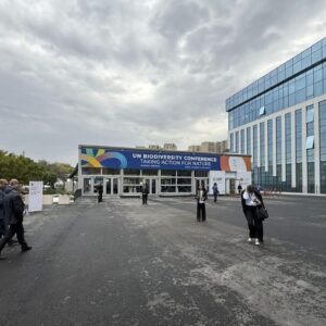 COP17 BIODIVERSITÉ | 200 pays devraient réactiver dans un contexte mondial le processus d'atténuation de la baisse de la biodiversité sur la planète