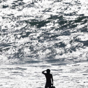 Ce que El Niño signifie pour la vie marine de Californie