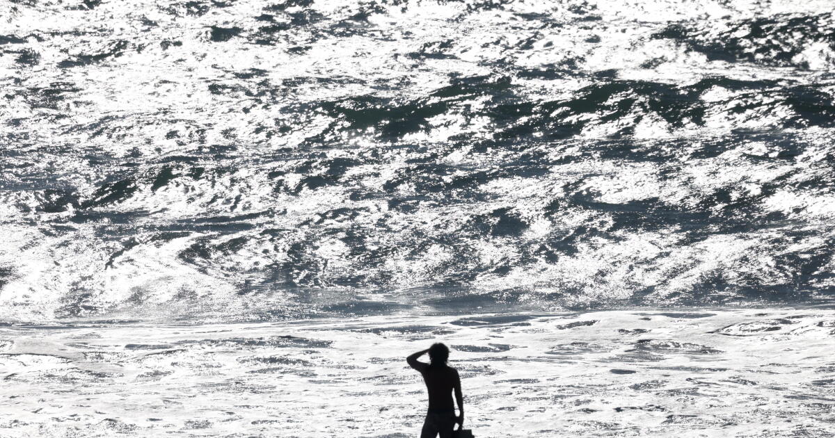 Ce que El Niño signifie pour la vie marine de Californie