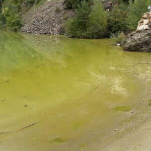 L'eau du pantalon de la Torrassa est de couleur verte fluorescente par des algues potentiellement toxiques