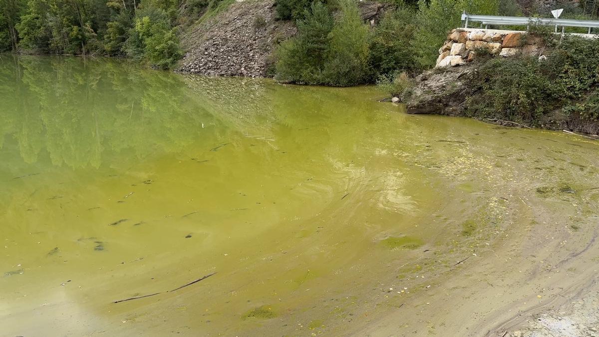 El pantano de la Torrassa, teñido de verde fluorescente por cianobacterias.