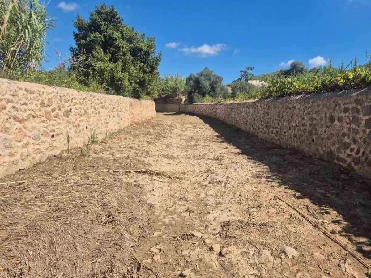 Torrent totalement arrêté à Ibiza par le gouvernement autonome