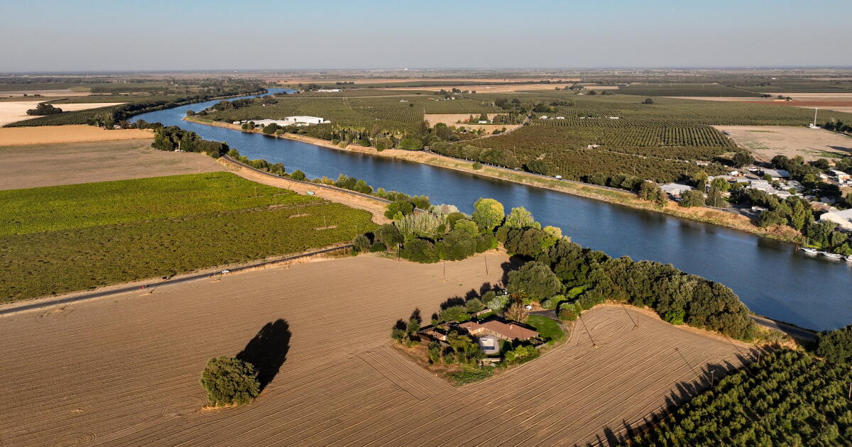 La Californie a payé 180 millions de dollars pour l'eau du saumon de Sacramento