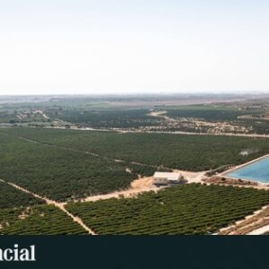 La chaleur amène la pollution à l'ozone dans la région à son deuxième niveau le plus élevé depuis 2017, selon les écologistes
