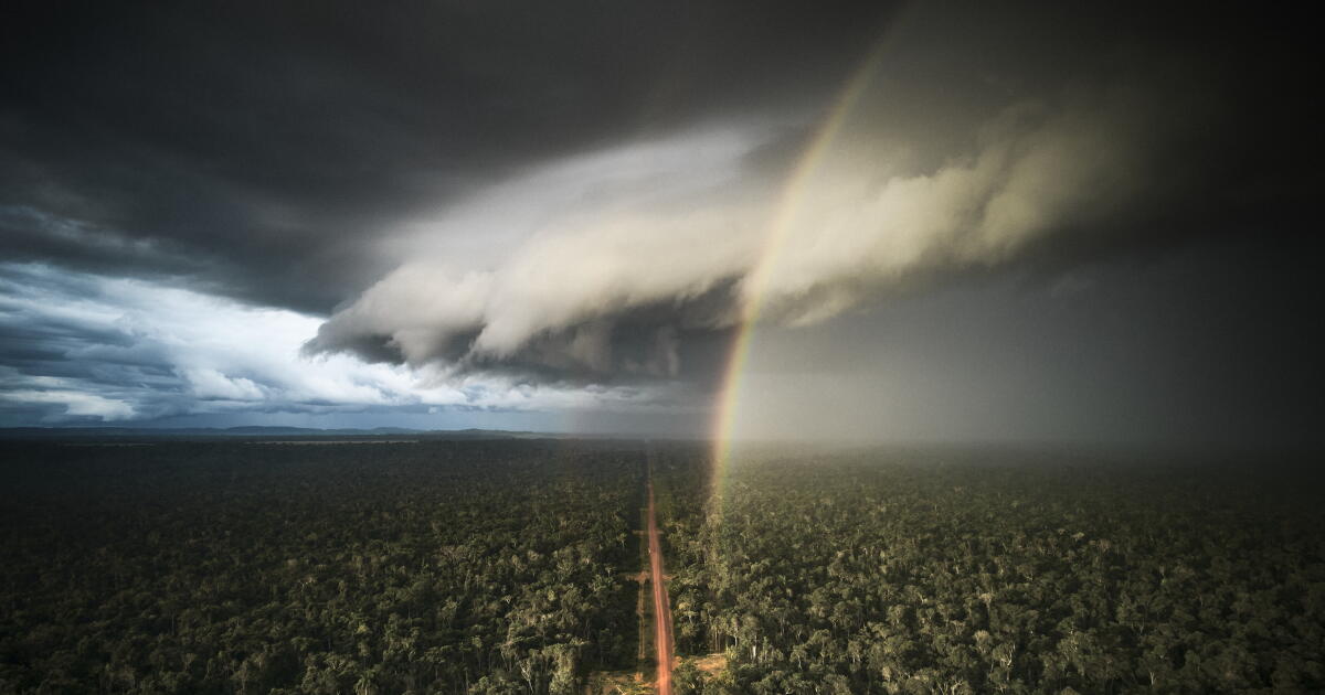 Le Brésil affirme que la déforestation en Amazonie est tombée à son plus bas niveau depuis 1988