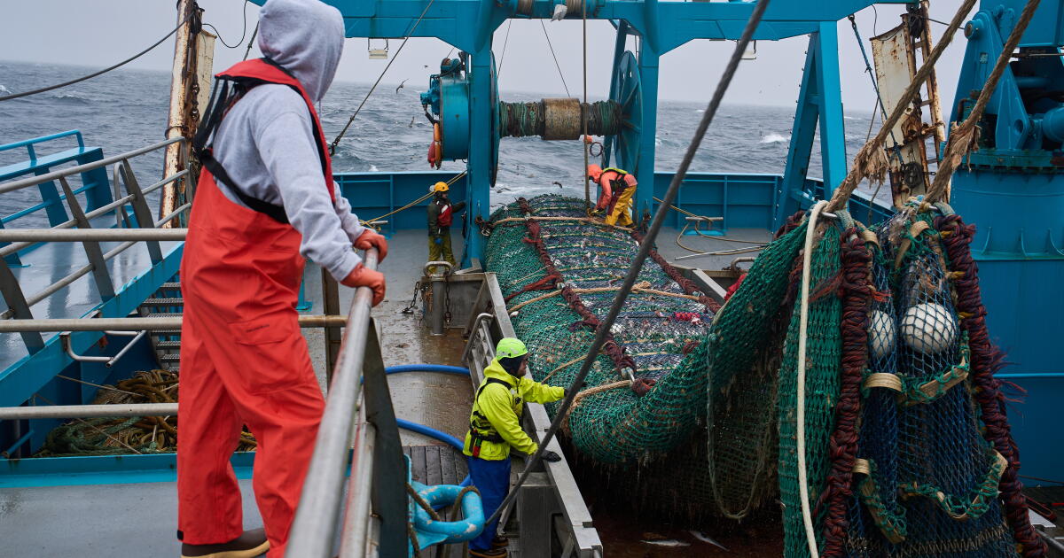 Le poisson derrière les bâtonnets de poisson américains alimente la lutte contre le chalutage en Alaska